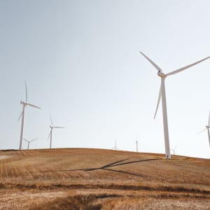 Перші кроки в напрямку використання вітру для виробництва енергії